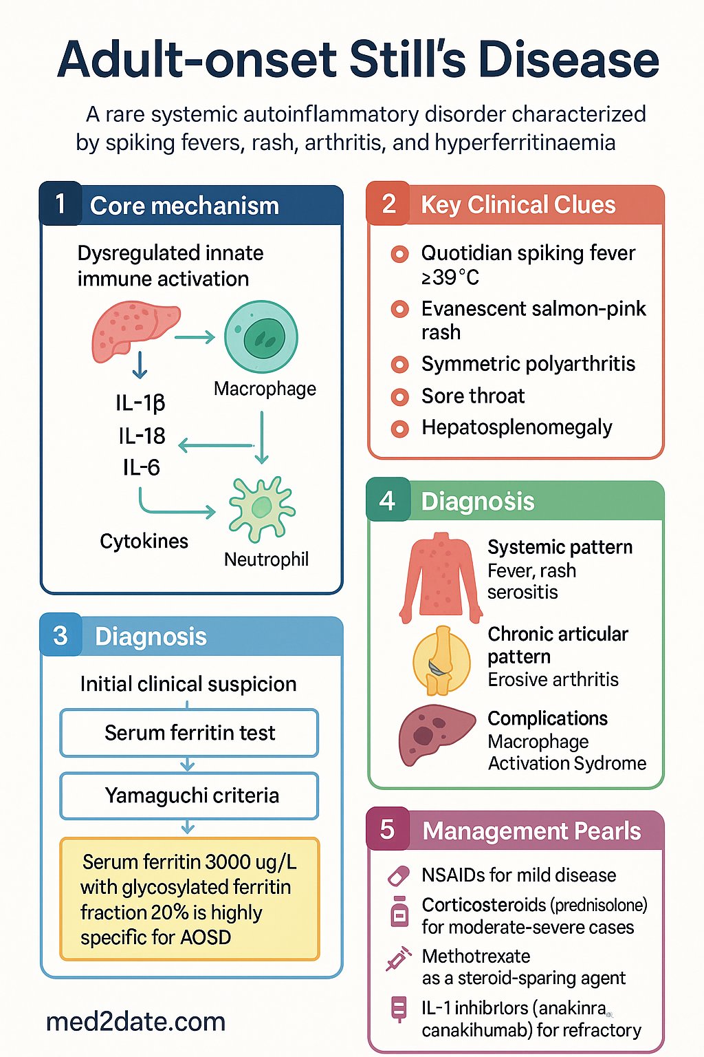 Adult-onset Stills Disease (AOSD) clinical infographic — pathophysiology, clinical clues, diagnosis, imaging, and management