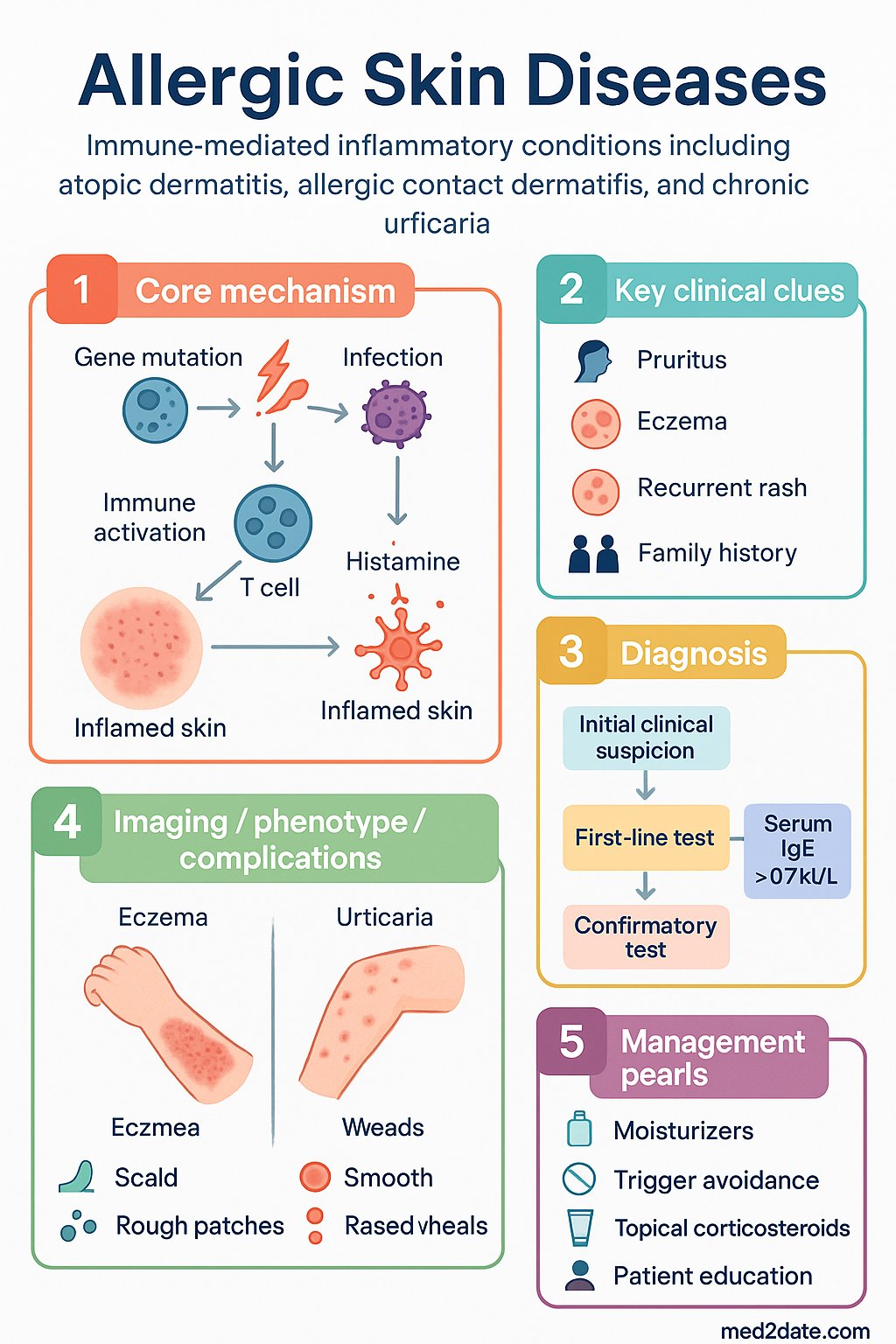 Allergic Skin Diseases clinical infographic — pathophysiology, clinical clues, diagnosis, imaging, and management