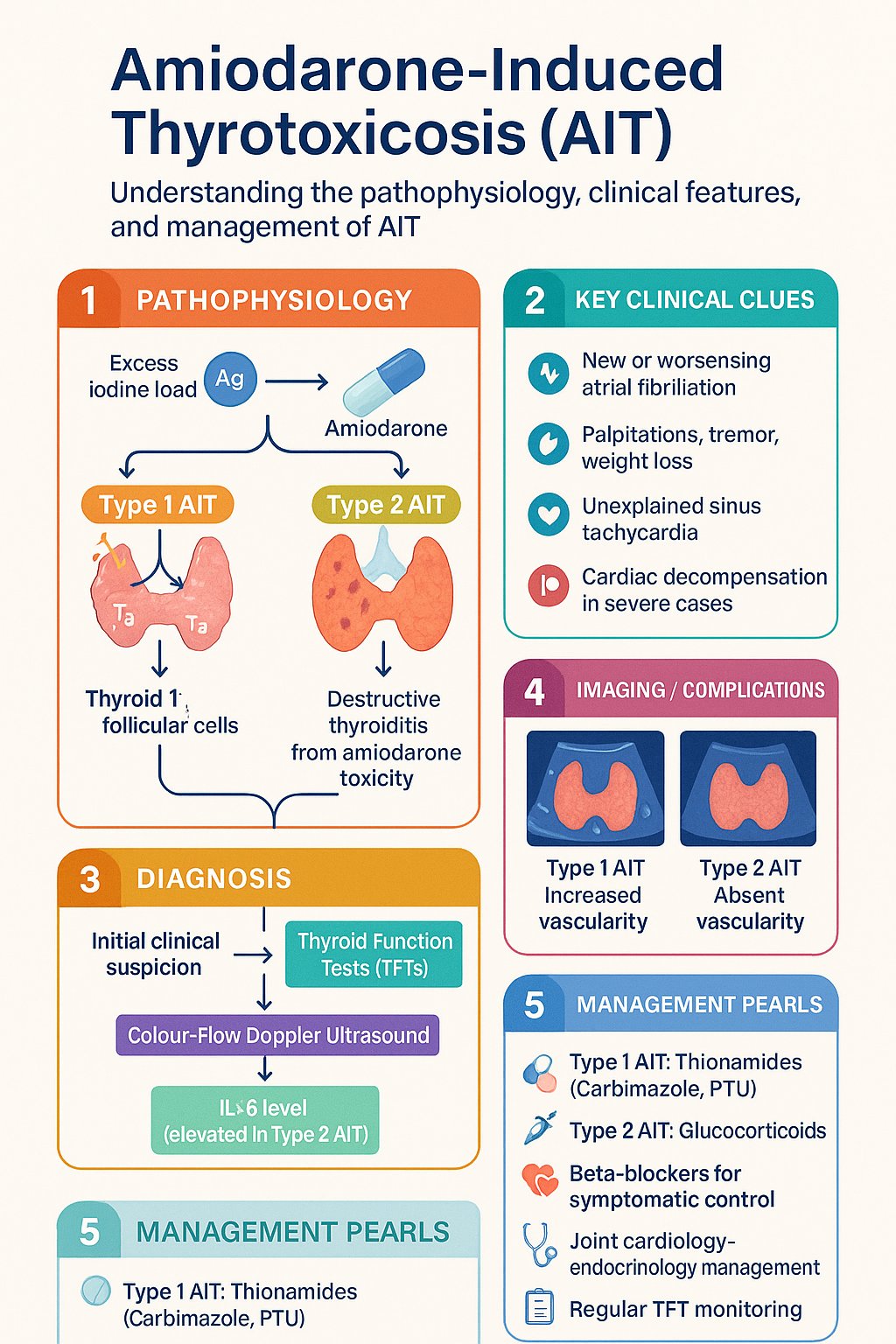 Amiodarone-Induced Thyrotoxicosis (AIT) clinical infographic — pathophysiology, clinical clues, diagnosis, imaging, and management