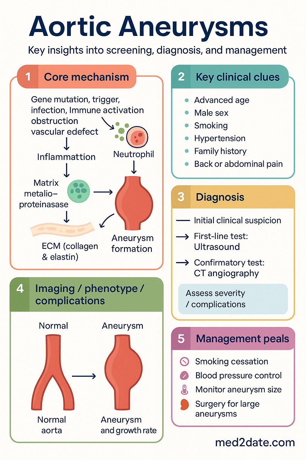Aortic Aneurysms clinical infographic — pathophysiology, clinical clues, diagnosis, imaging, and management