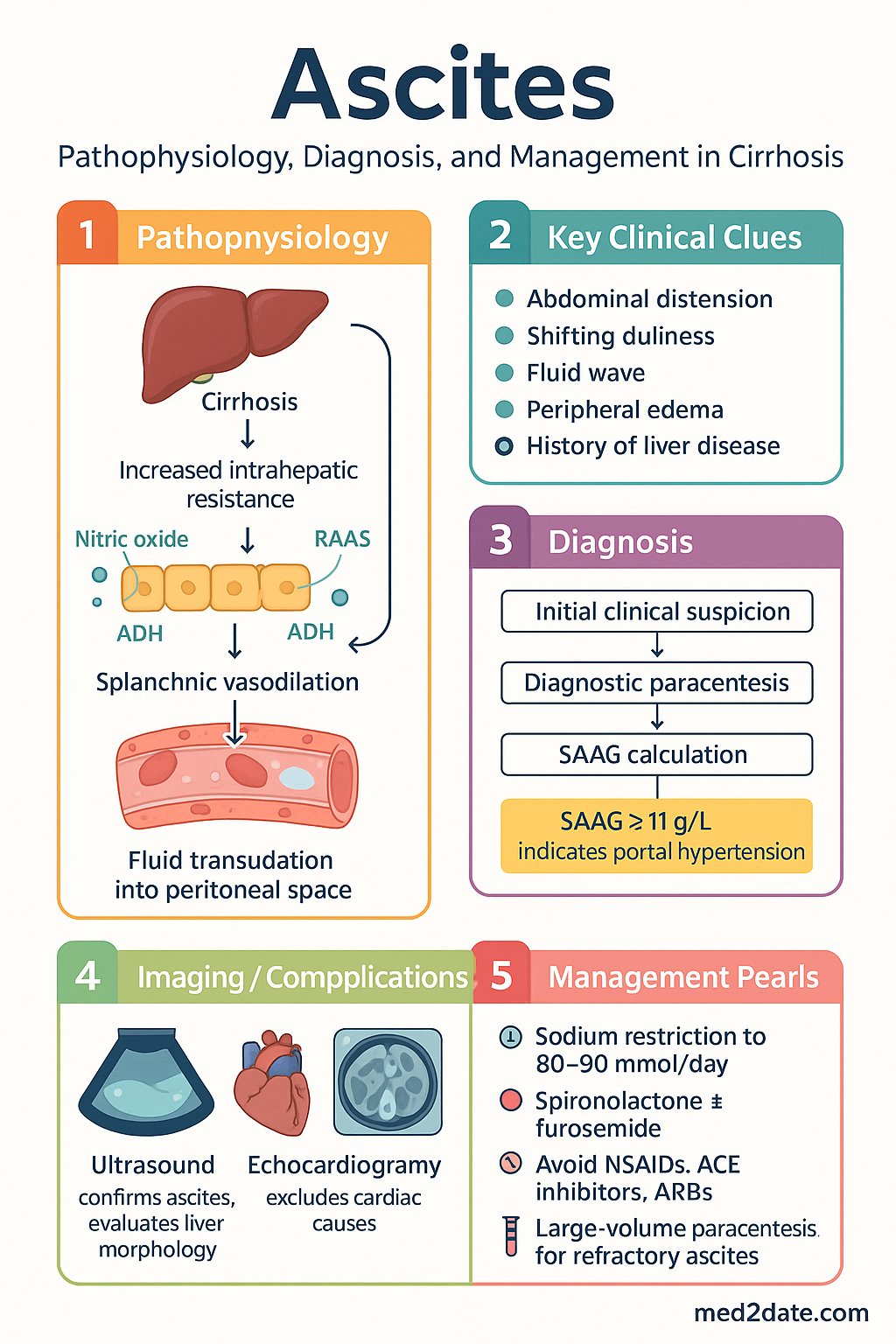 Ascites clinical infographic — pathophysiology, clinical clues, diagnosis, imaging, and management