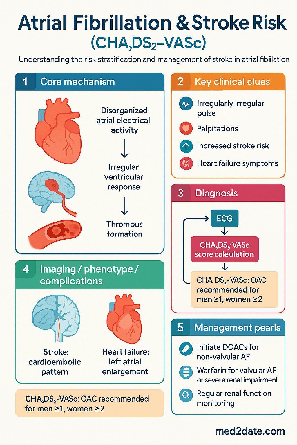 Atrial Fibrillation & Stroke Risk (CHA2DS2-VASc) clinical infographic — pathophysiology, clinical clues, diagnosis, imaging, and management