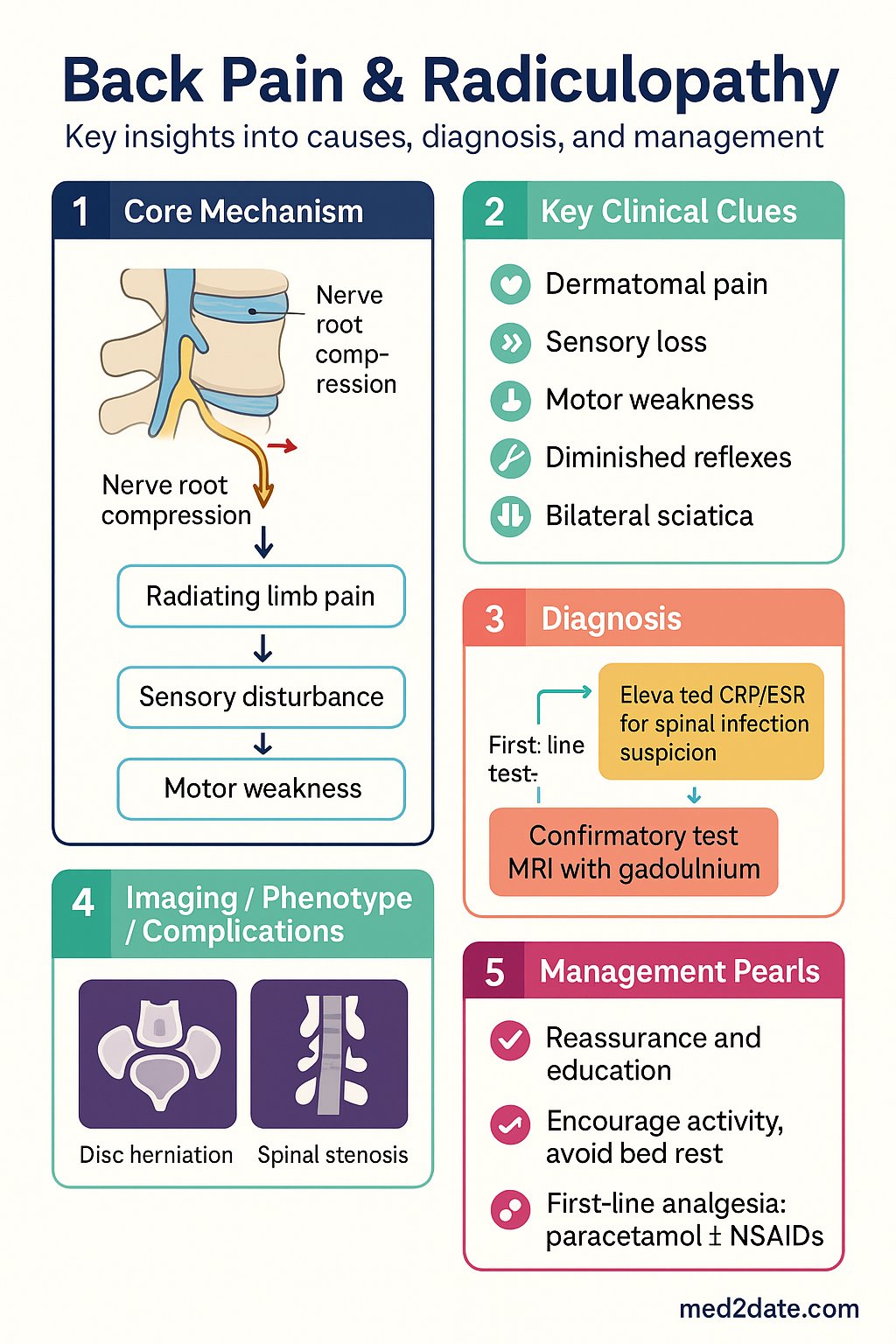 Back Pain & Radiculopathy clinical infographic — pathophysiology, clinical clues, diagnosis, imaging, and management