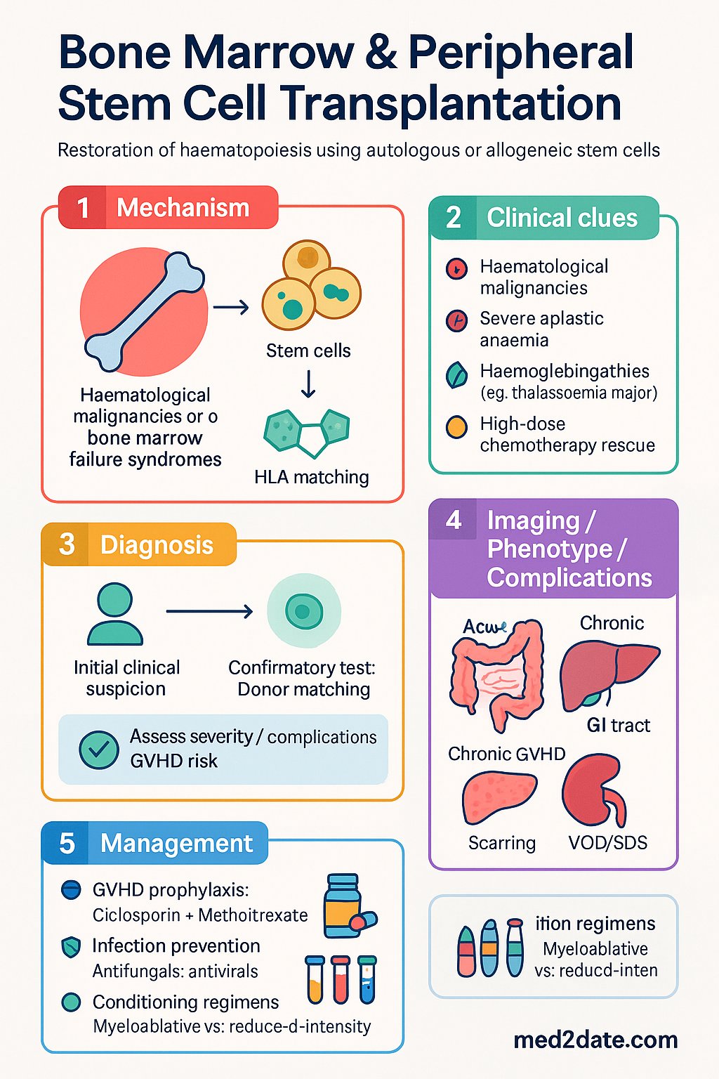 Bone Marrow & Peripheral Stem Cell Transplantation clinical infographic — pathophysiology, clinical clues, diagnosis, imaging, and management