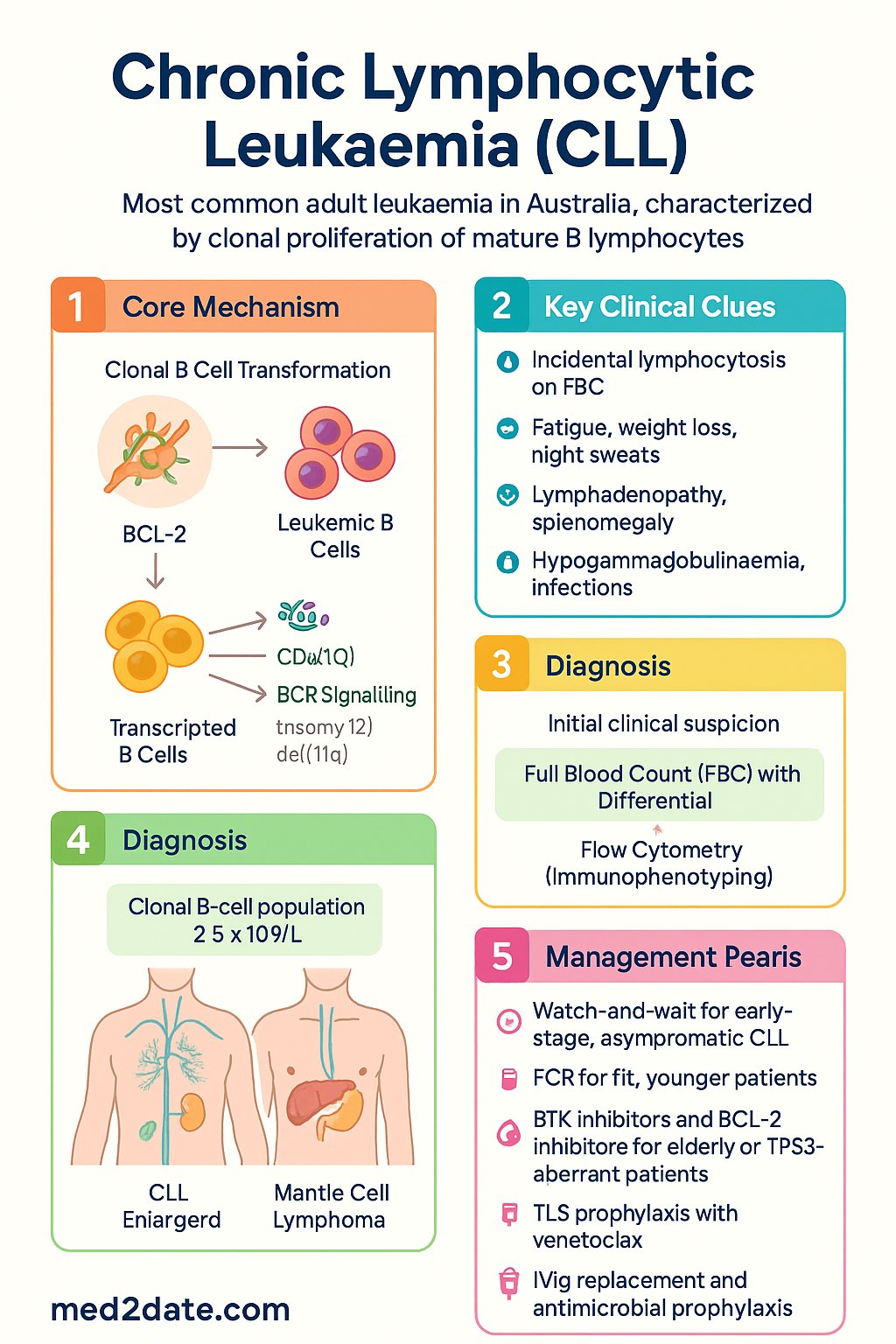 Chronic Lymphocytic Leukaemia (CLL) clinical infographic — pathophysiology, clinical clues, diagnosis, imaging, and management