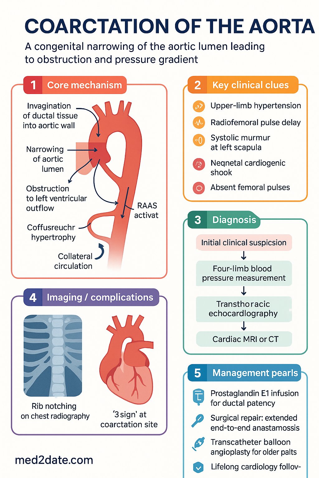 Coarctation of the Aorta clinical infographic — pathophysiology, clinical clues, diagnosis, imaging, and management