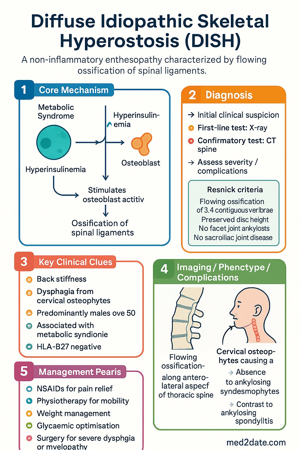 Diffuse Idiopathic Skeletal Hyperostosis (DISH) clinical infographic — pathophysiology, clinical clues, diagnosis, imaging, and management