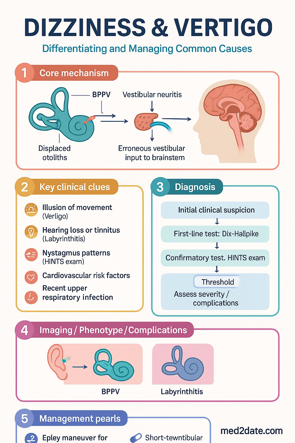 Dizziness & Vertigo clinical infographic — pathophysiology, clinical clues, diagnosis, imaging, and management