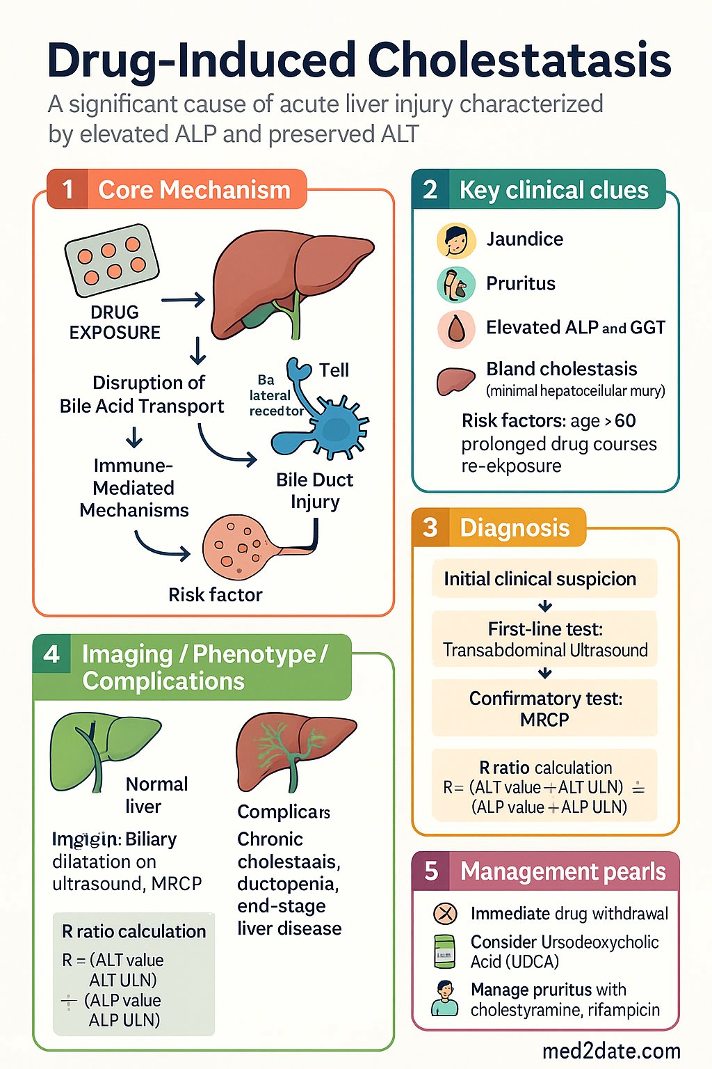 Drug-Induced Cholestasis clinical infographic — pathophysiology, clinical clues, diagnosis, imaging, and management