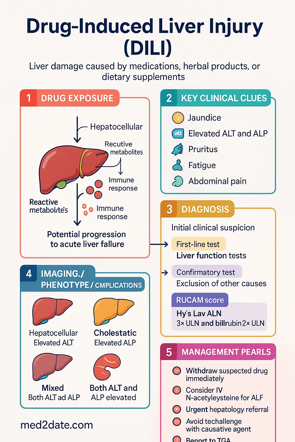 Drug-Induced Liver Injury (DILI) clinical infographic — pathophysiology, clinical clues, diagnosis, imaging, and management