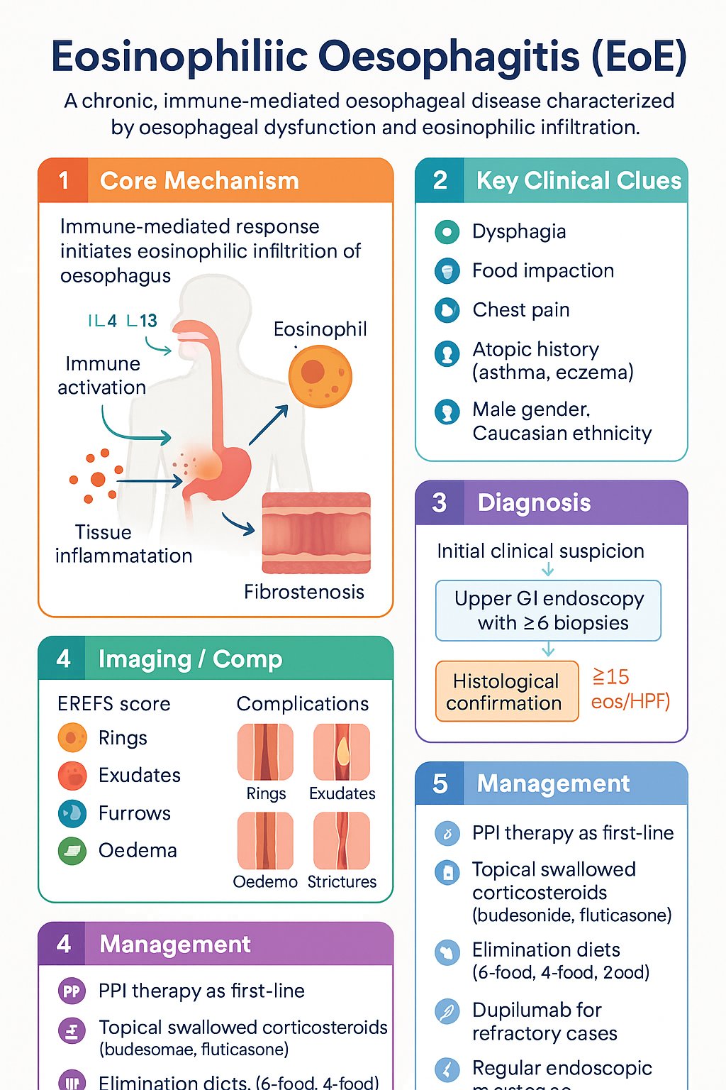 Eosinophilic Oesophagitis (EoE) clinical infographic — pathophysiology, clinical clues, diagnosis, imaging, and management