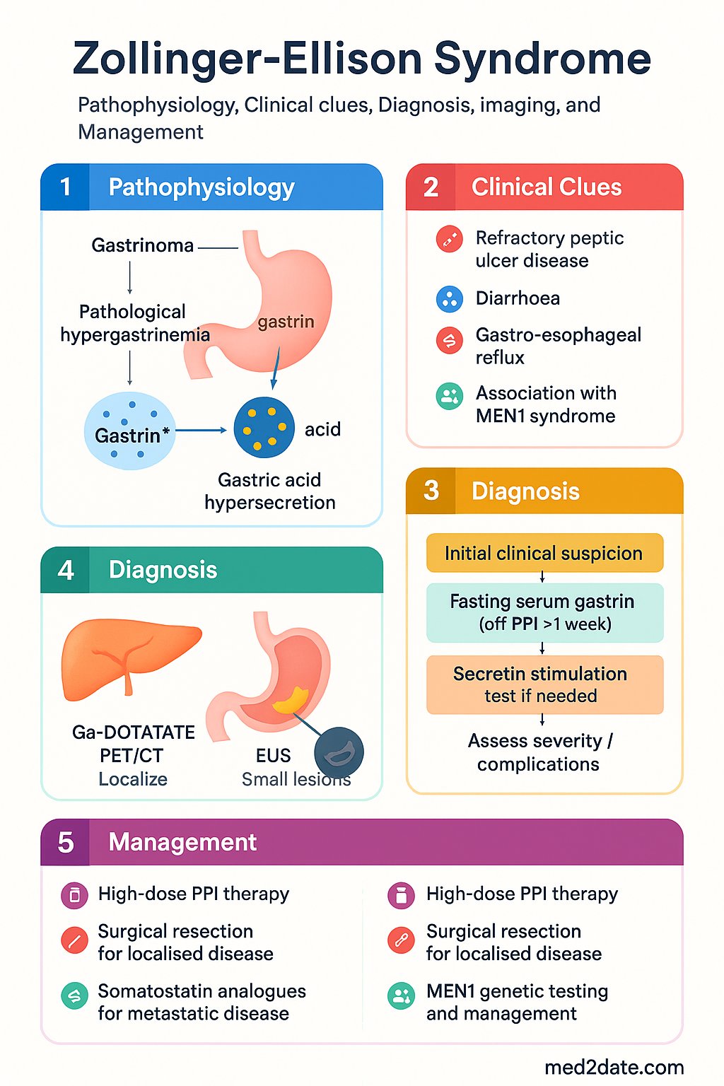 Gastrin & Gastrinoma clinical infographic — pathophysiology, clinical clues, diagnosis, imaging, and management