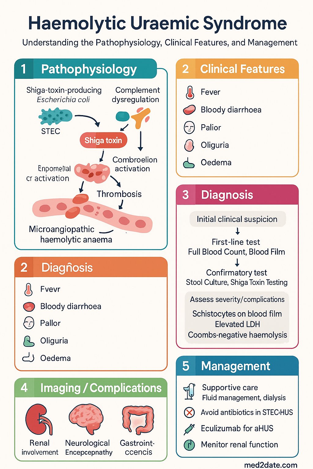 Haemolytic Uraemic Syndrome (HUS) clinical infographic — pathophysiology, clinical clues, diagnosis, imaging, and management