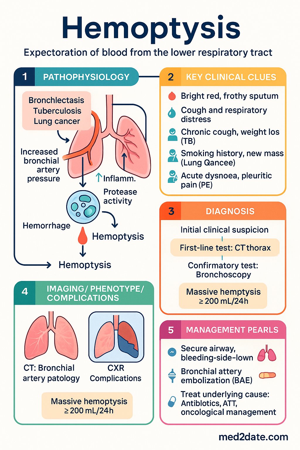 Hemoptysis clinical infographic — pathophysiology, clinical clues, diagnosis, imaging, and management