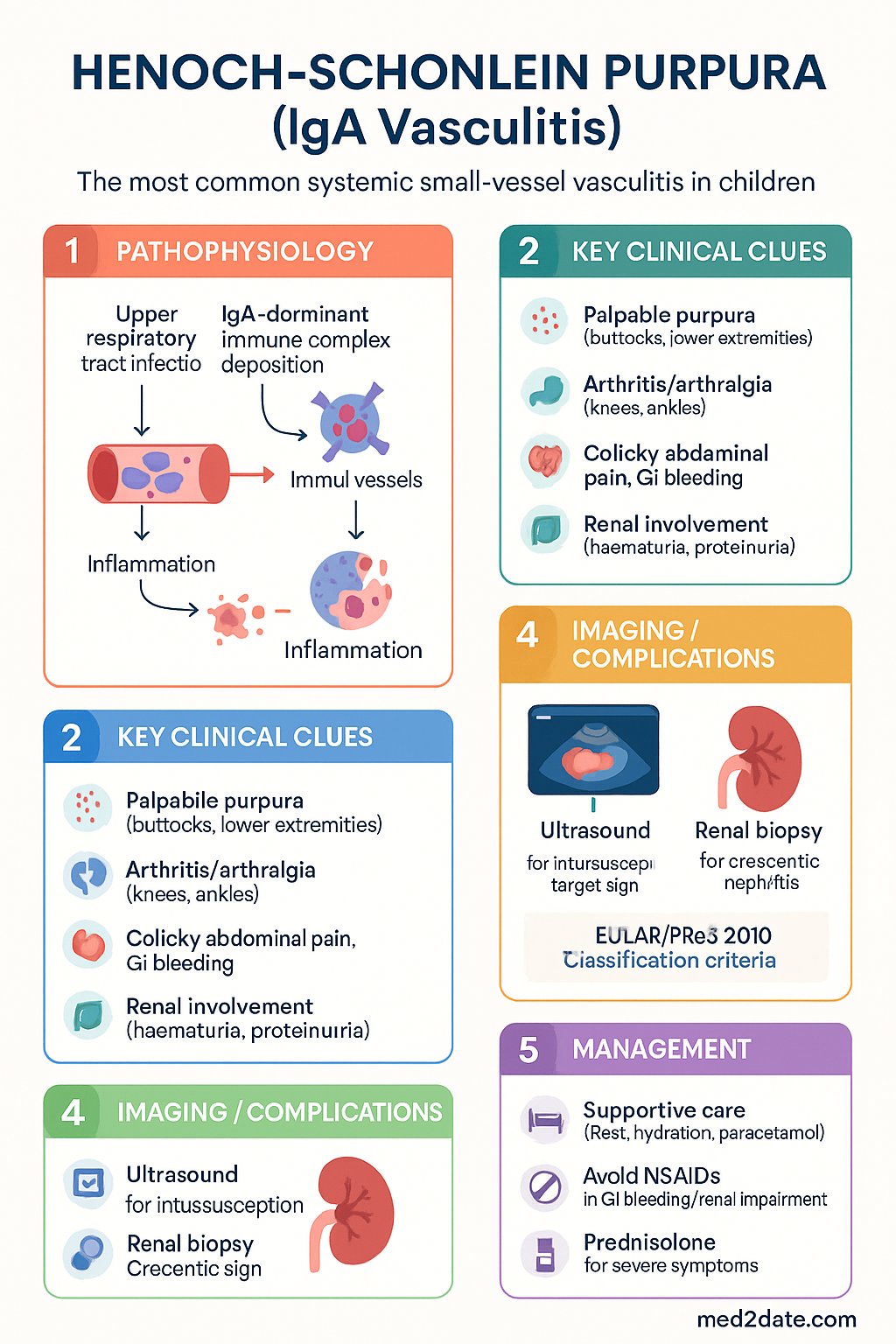 Henoch-Schonlein Purpura (IgA Vasculitis) clinical infographic — pathophysiology, clinical clues, diagnosis, imaging, and management