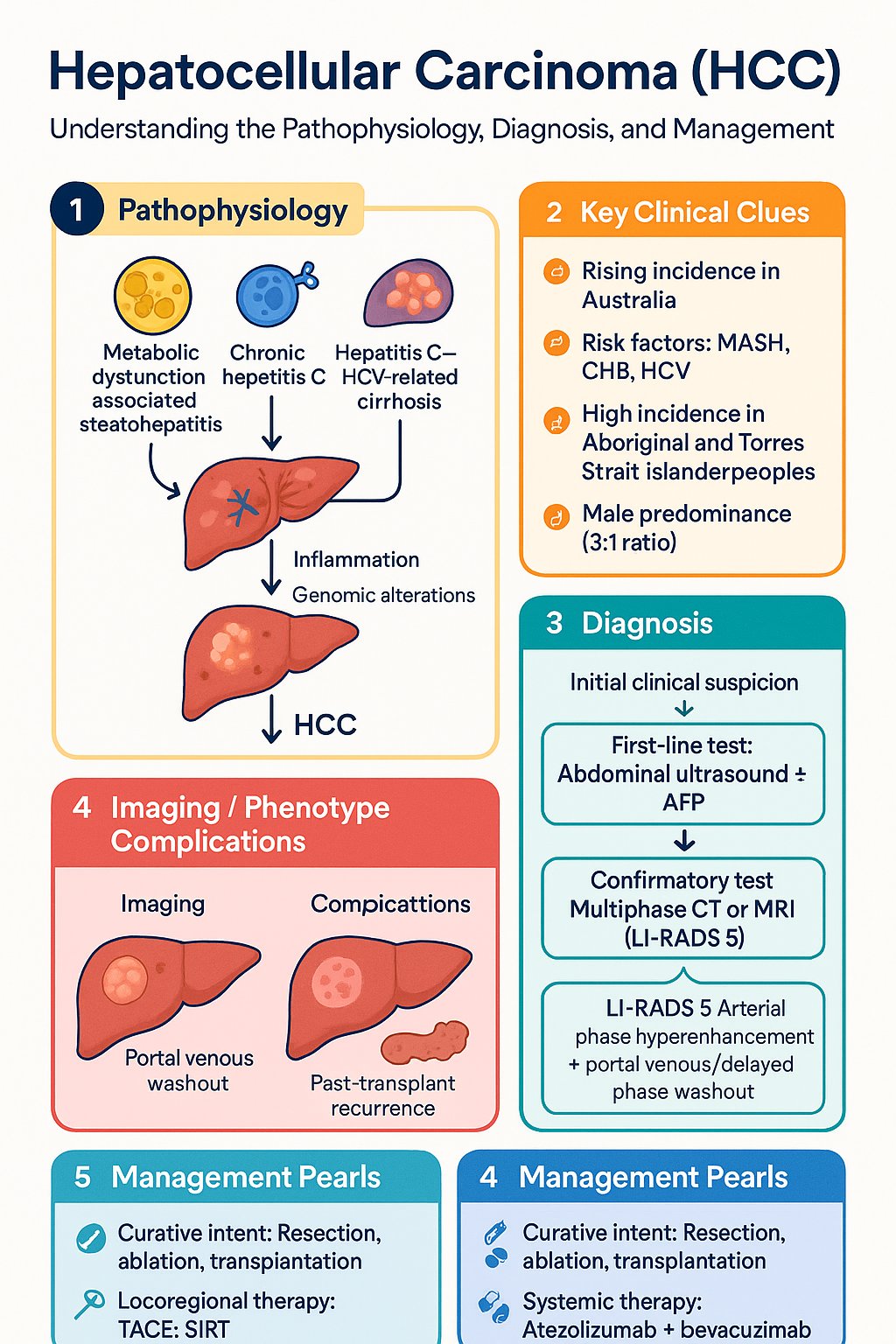 Hepatocellular Carcinoma (HCC) clinical infographic — pathophysiology, clinical clues, diagnosis, imaging, and management