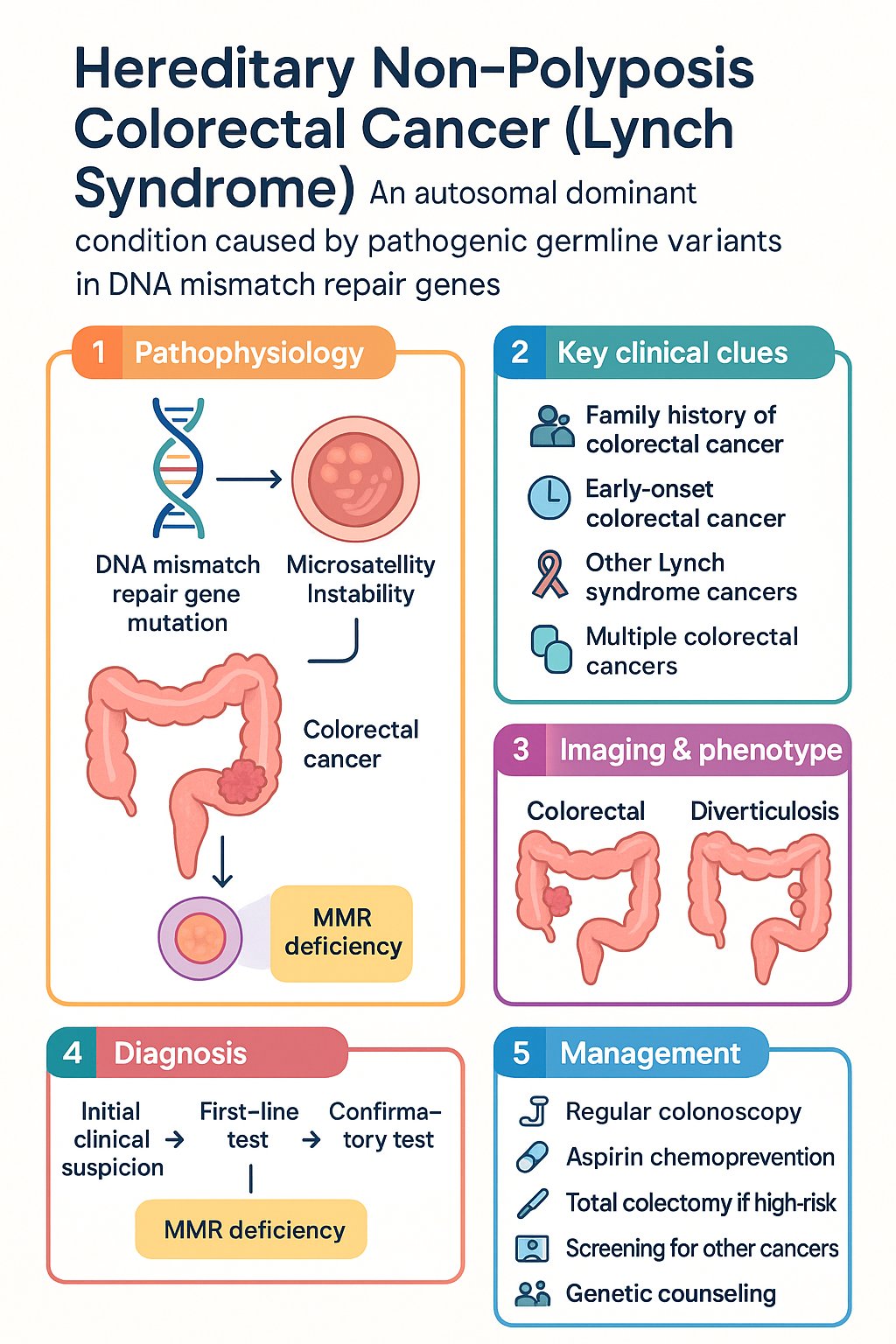 Hereditary Non-Polyposis Colorectal Cancer (Lynch Syndrome) clinical infographic — pathophysiology, clinical clues, diagnosis, imaging, and management