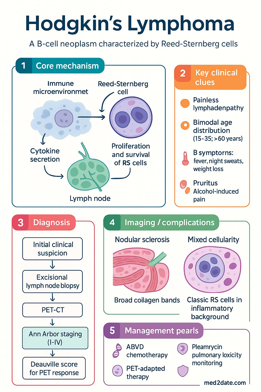 Hodgkin's Lymphoma clinical infographic — pathophysiology, clinical clues, diagnosis, imaging, and management