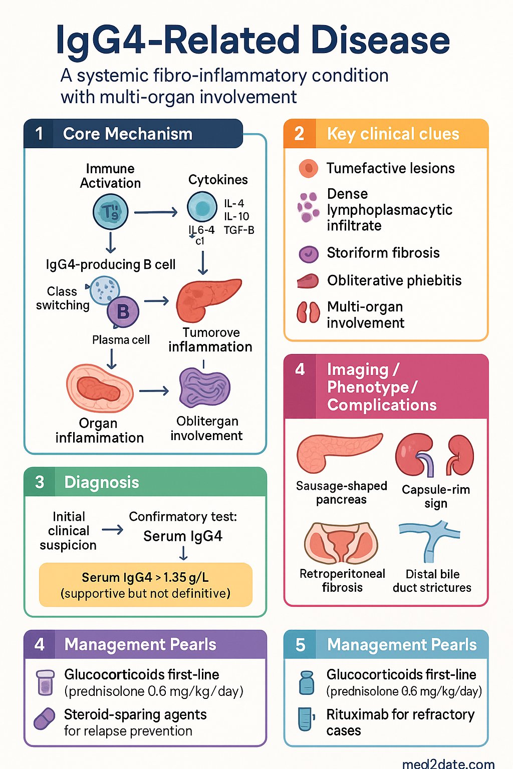 IgG4-Related Disease clinical infographic — pathophysiology, clinical clues, diagnosis, imaging, and management