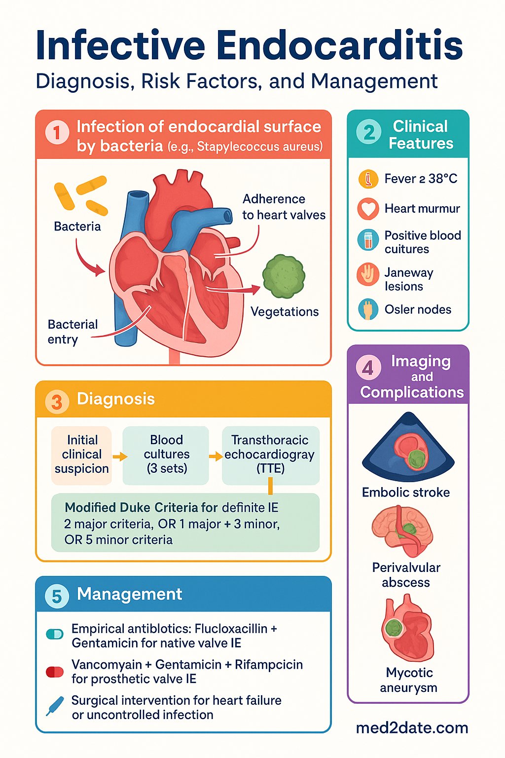 Infective Endocarditis clinical infographic — pathophysiology, clinical clues, diagnosis, imaging, and management