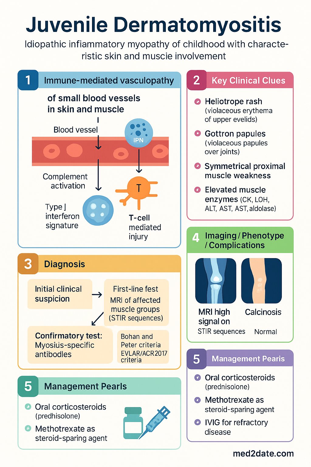 Juvenile Dermatomyositis clinical infographic — pathophysiology, clinical clues, diagnosis, imaging, and management