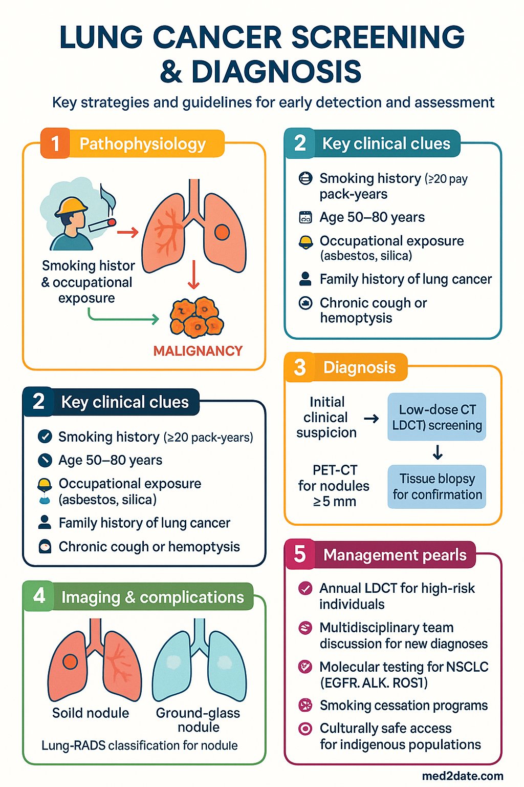Lung Cancer Screening & Diagnosis clinical infographic — pathophysiology, clinical clues, diagnosis, imaging, and management
