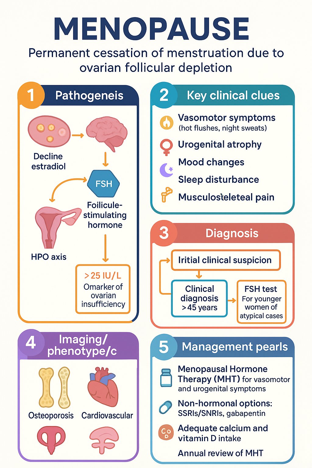 Menopause clinical infographic — pathophysiology, clinical clues, diagnosis, imaging, and management