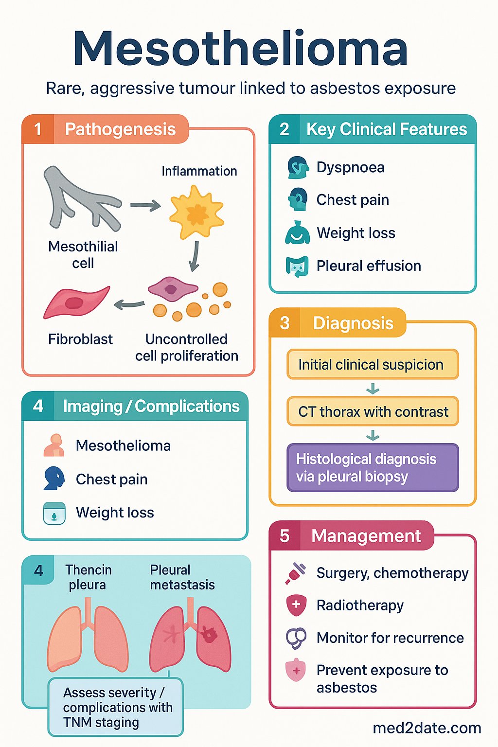 Mesothelioma clinical infographic — pathophysiology, clinical clues, diagnosis, imaging, and management