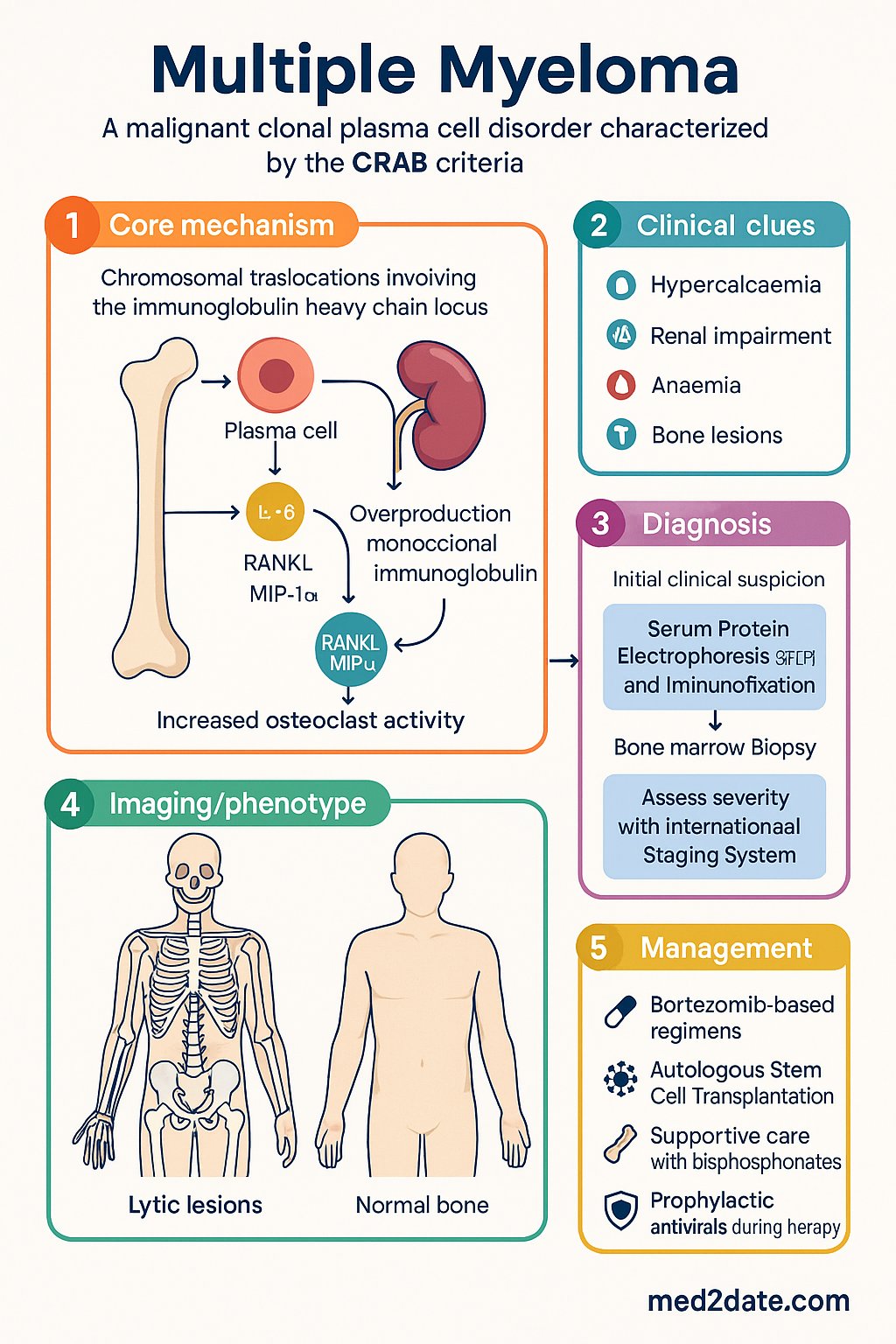 Myeloma (Multiple Myeloma) clinical infographic — pathophysiology, clinical clues, diagnosis, imaging, and management