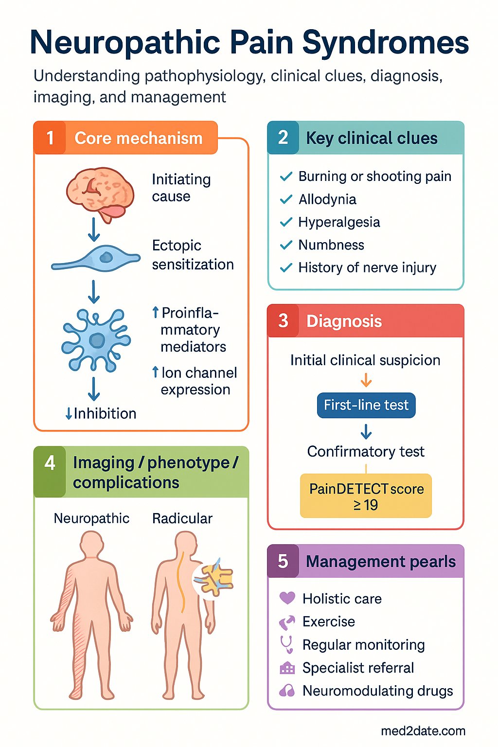 Neuropathic Pain Syndromes clinical infographic — pathophysiology, clinical clues, diagnosis, imaging, and management