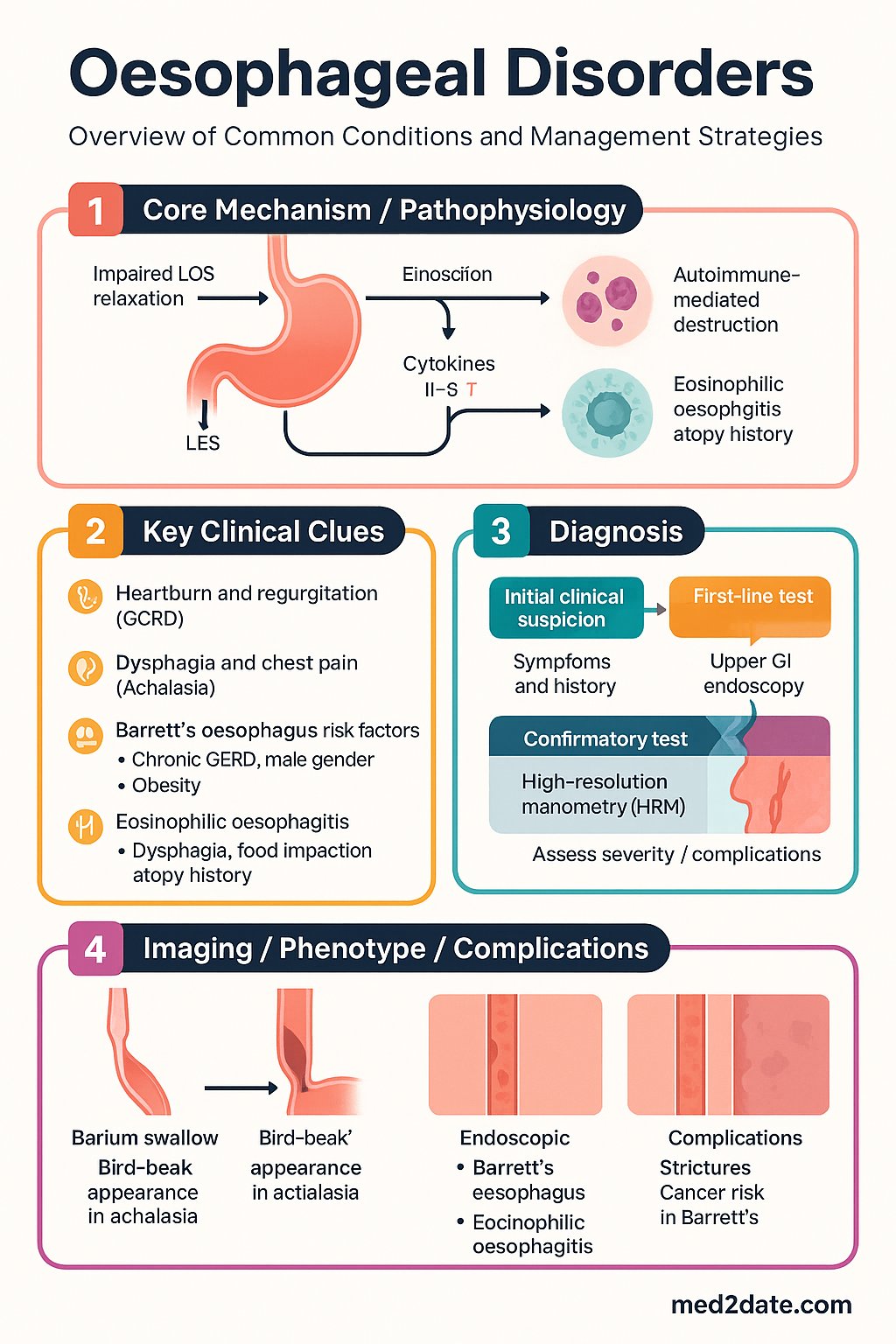 Oesophageal Disorders clinical infographic — pathophysiology, clinical clues, diagnosis, imaging, and management