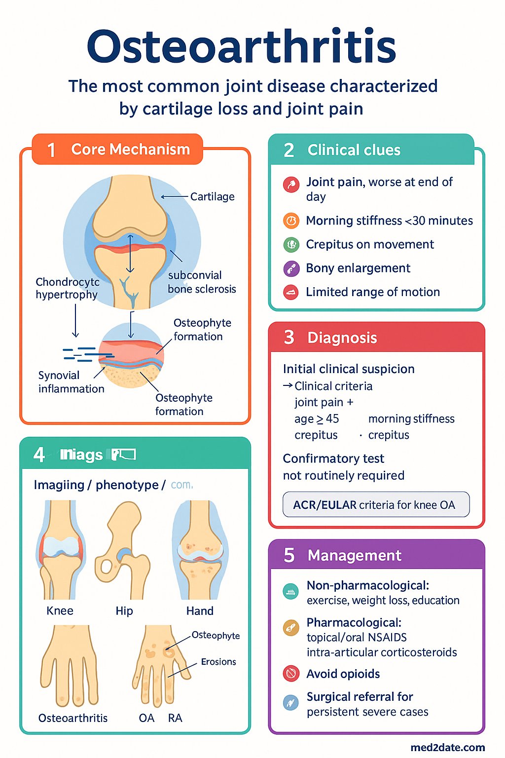 Osteoarthritis clinical infographic — pathophysiology, clinical clues, diagnosis, imaging, and management