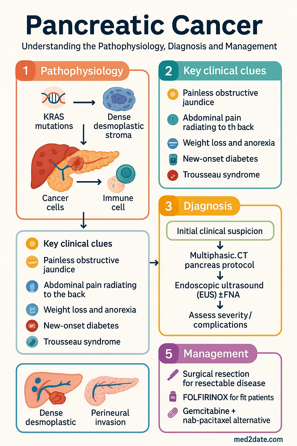 Pancreatic Cancer clinical infographic — pathophysiology, clinical clues, diagnosis, imaging, and management