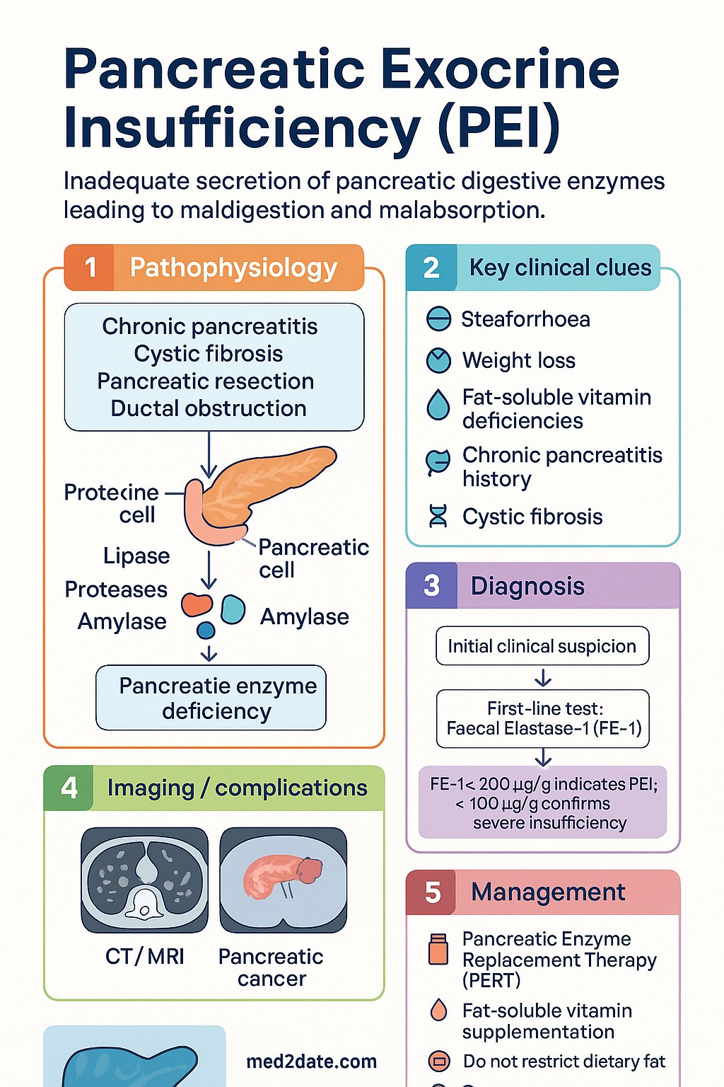 Pancreatic Insufficiency clinical infographic — pathophysiology, clinical clues, diagnosis, imaging, and management