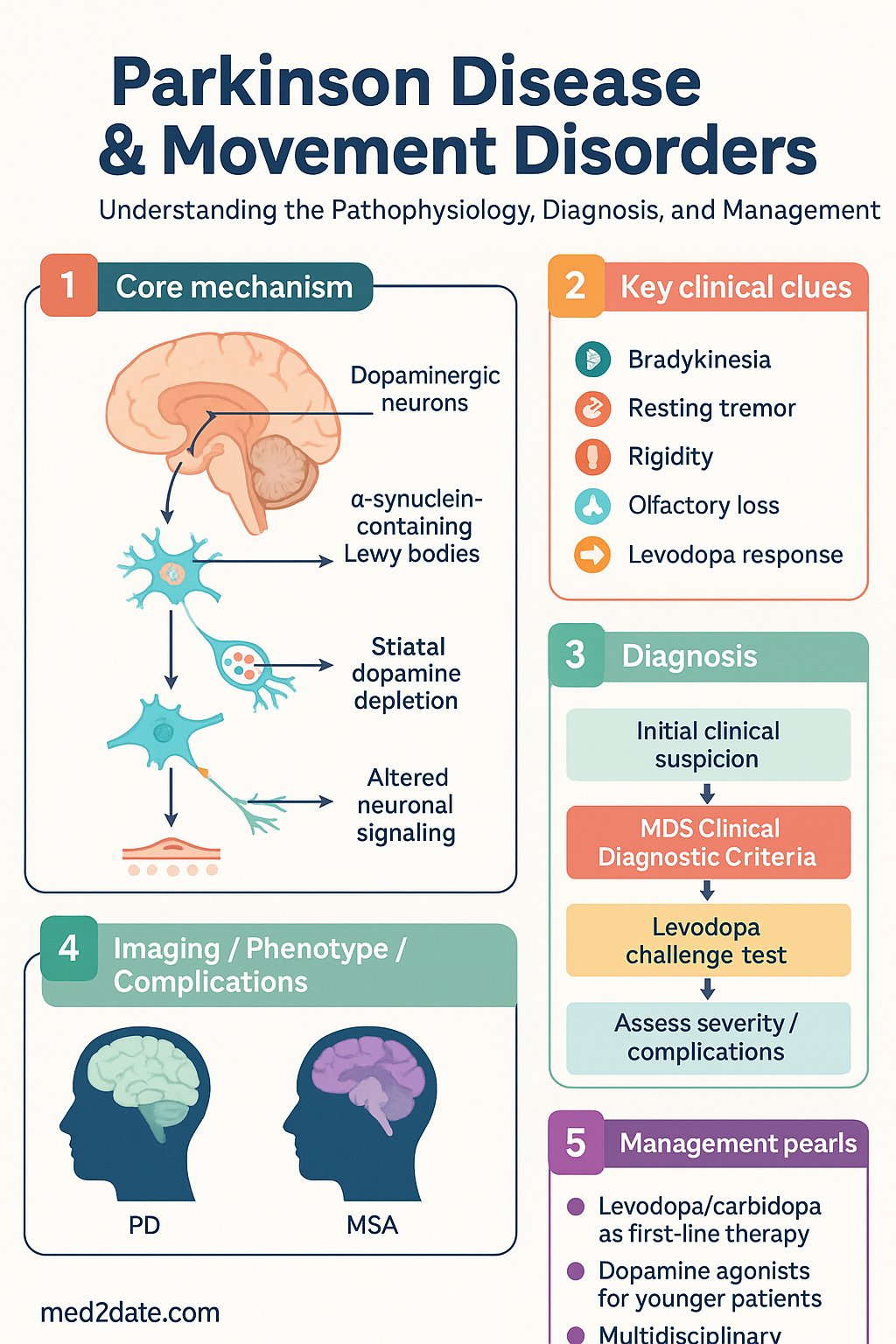 Parkinson Disease & Movement Disorders clinical infographic — pathophysiology, clinical clues, diagnosis, imaging, and management