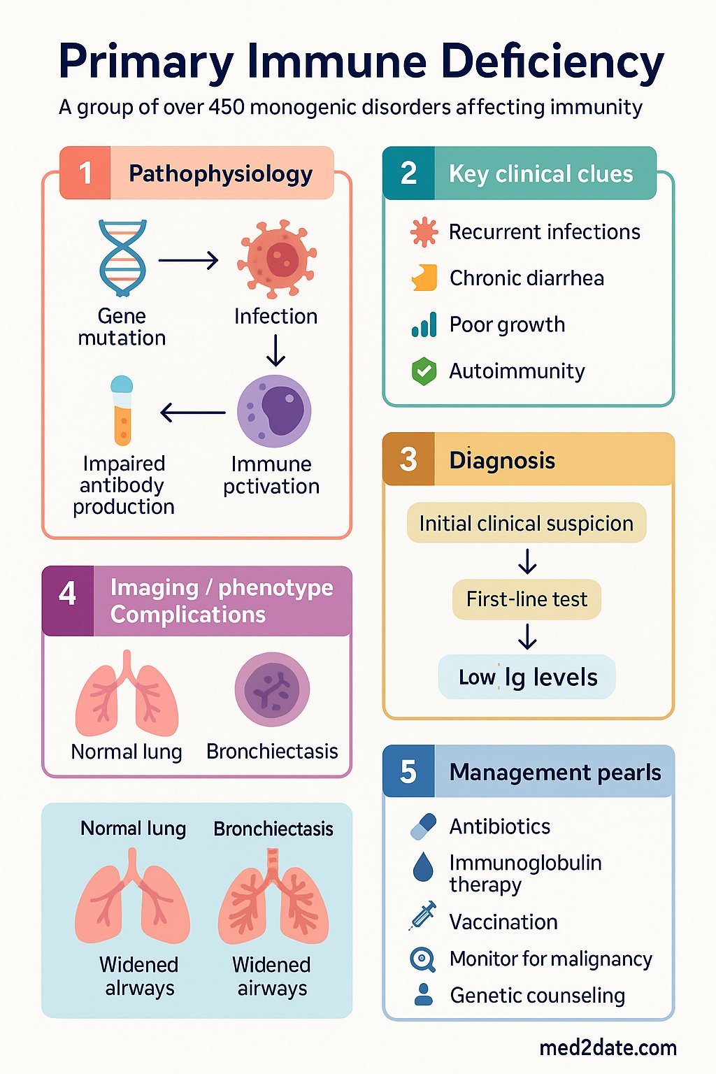 Primary Immune Deficiency clinical infographic — pathophysiology, clinical clues, diagnosis, imaging, and management