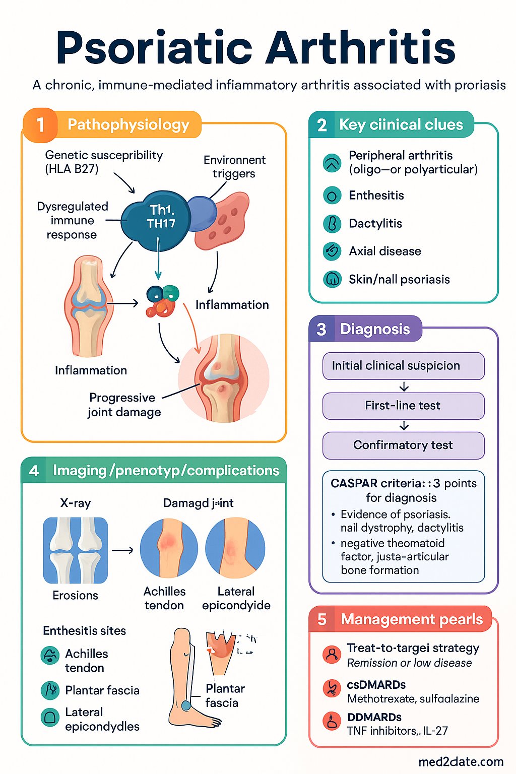 Psoriatic Arthritis clinical infographic — pathophysiology, clinical clues, diagnosis, imaging, and management
