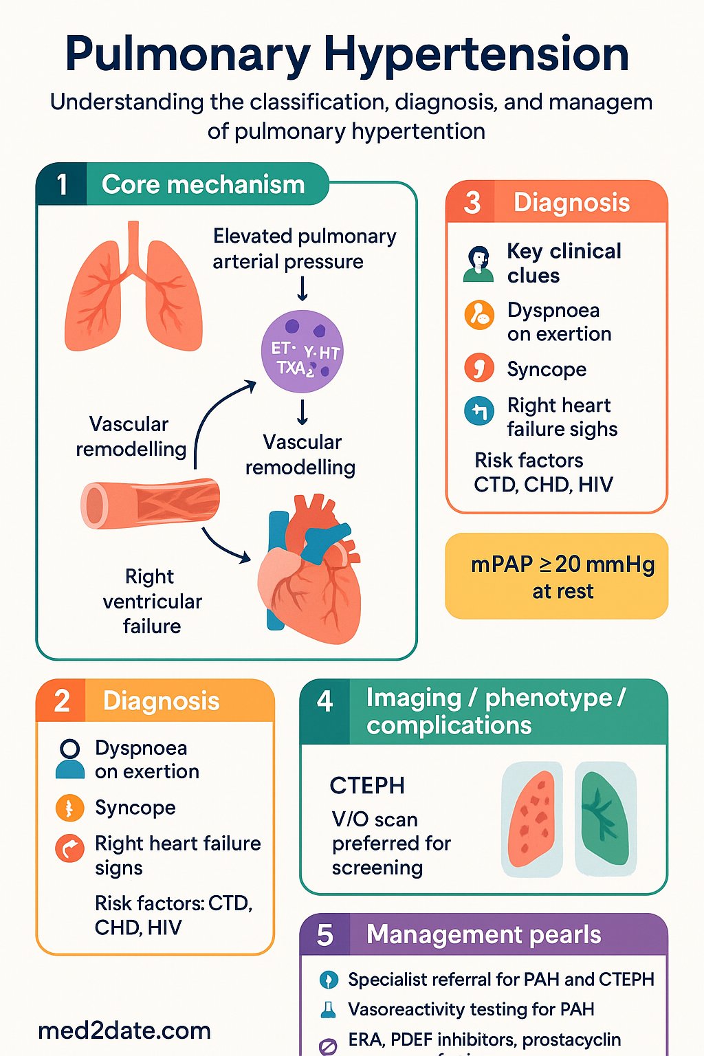Pulmonary Hypertension clinical infographic — pathophysiology, clinical clues, diagnosis, imaging, and management