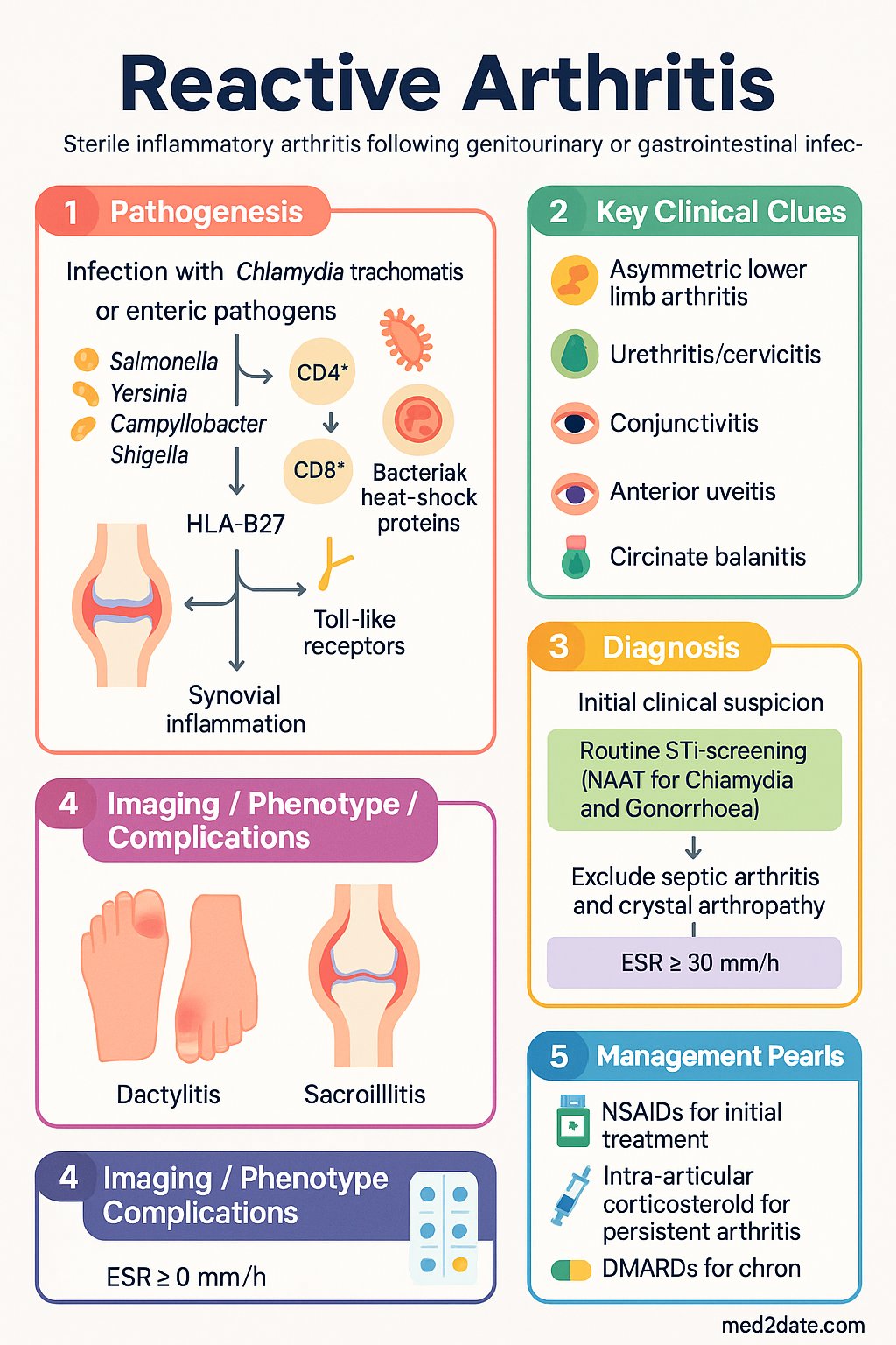 Reactive Arthritis clinical infographic — pathophysiology, clinical clues, diagnosis, imaging, and management