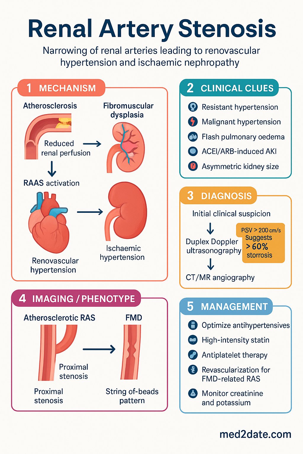 Renal Artery Stenosis clinical infographic — pathophysiology, clinical clues, diagnosis, imaging, and management