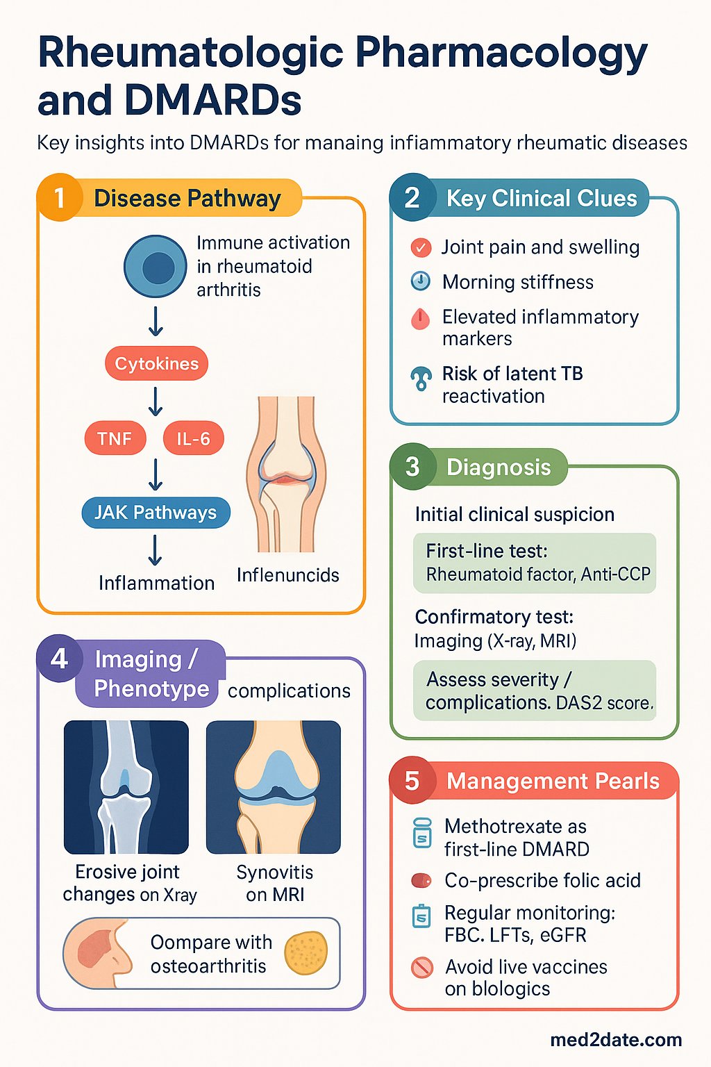 Rheumatologic Pharmacology and DMARDs clinical infographic — pathophysiology, clinical clues, diagnosis, imaging, and management