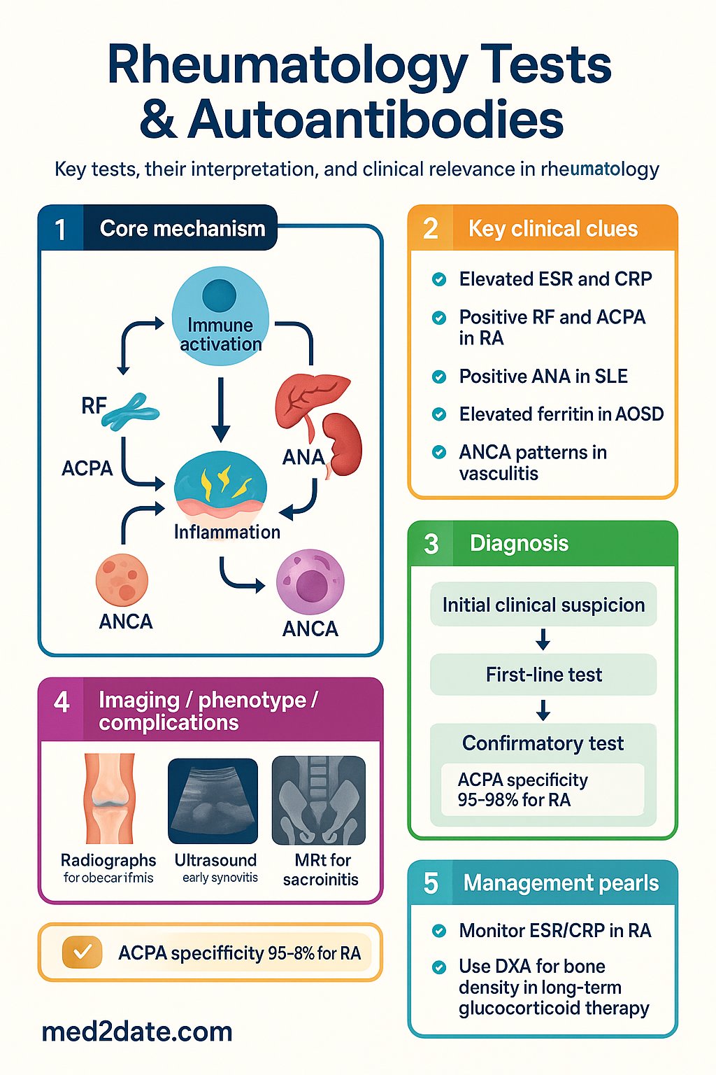 Rheumatology Tests & Autoantibodies clinical infographic — pathophysiology, clinical clues, diagnosis, imaging, and management