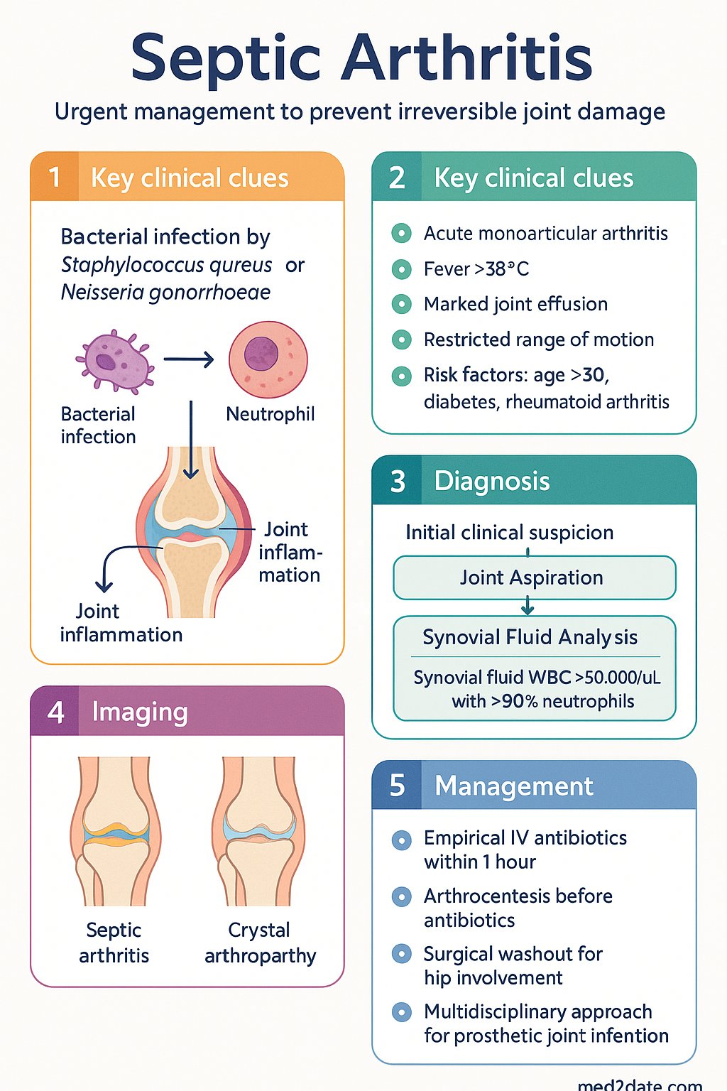 Septic Arthritis clinical infographic — pathophysiology, clinical clues, diagnosis, imaging, and management