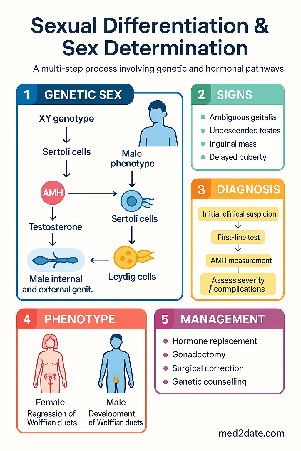 Sexual Differentiation & Sex Determination clinical infographic — pathophysiology, clinical clues, diagnosis, imaging, and management