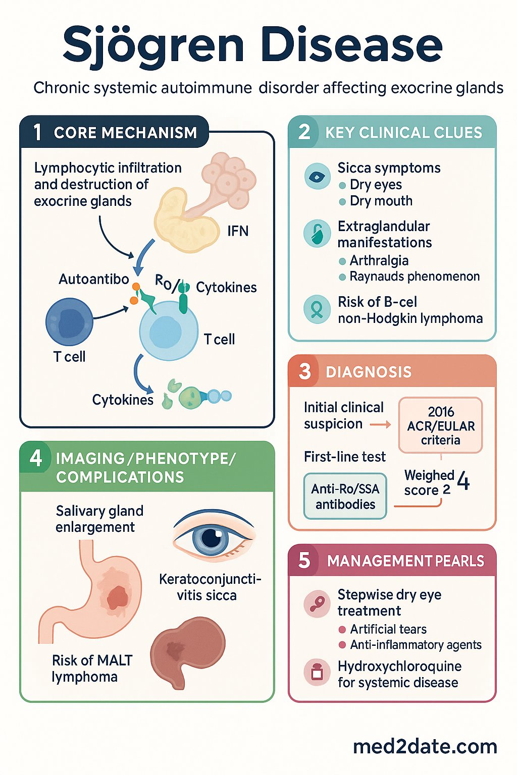 Sjogren Disease clinical infographic — pathophysiology, clinical clues, diagnosis, imaging, and management