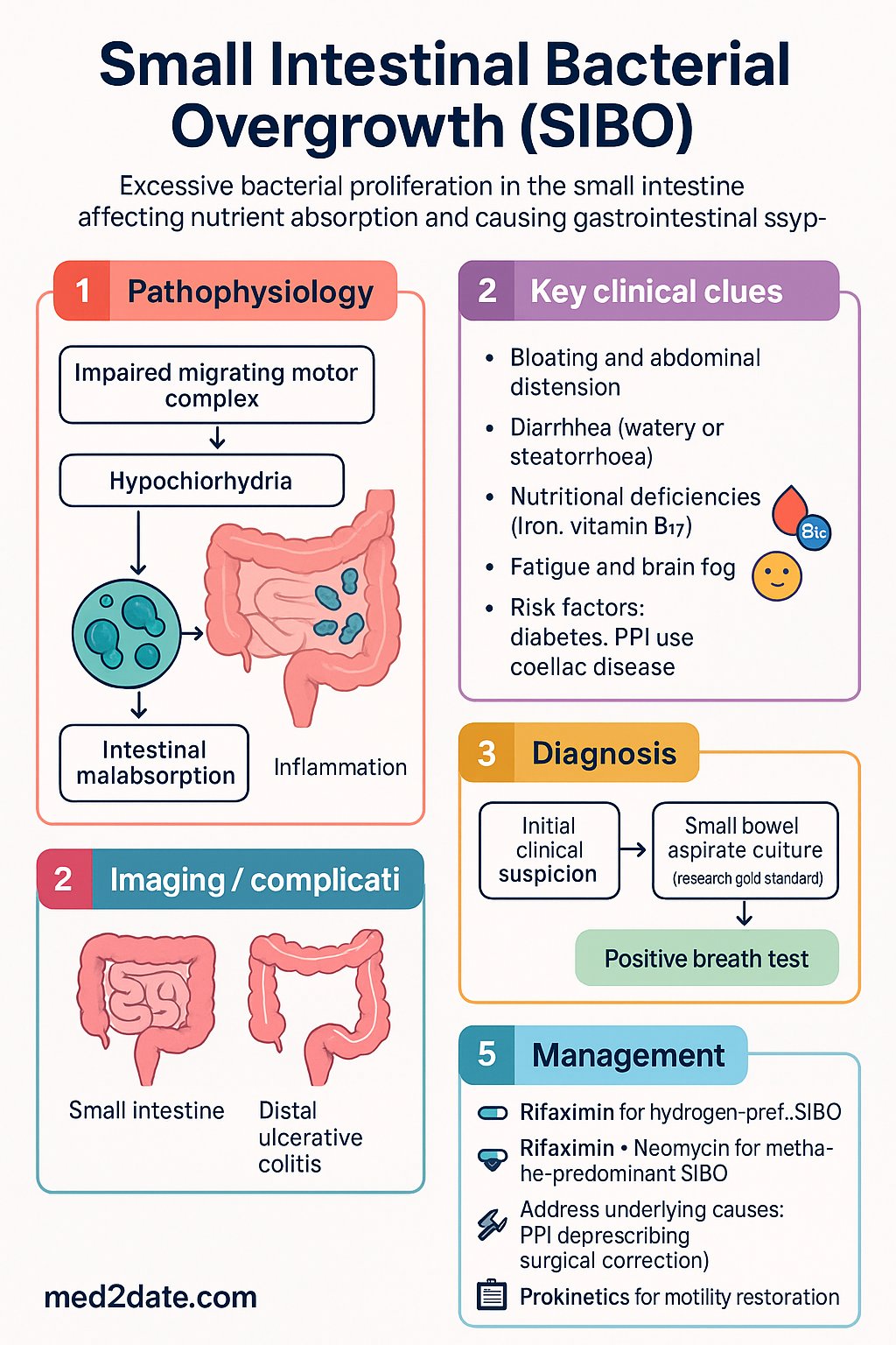 Small Intestinal Bacterial Overgrowth (SIBO) clinical infographic — pathophysiology, clinical clues, diagnosis, imaging, and management