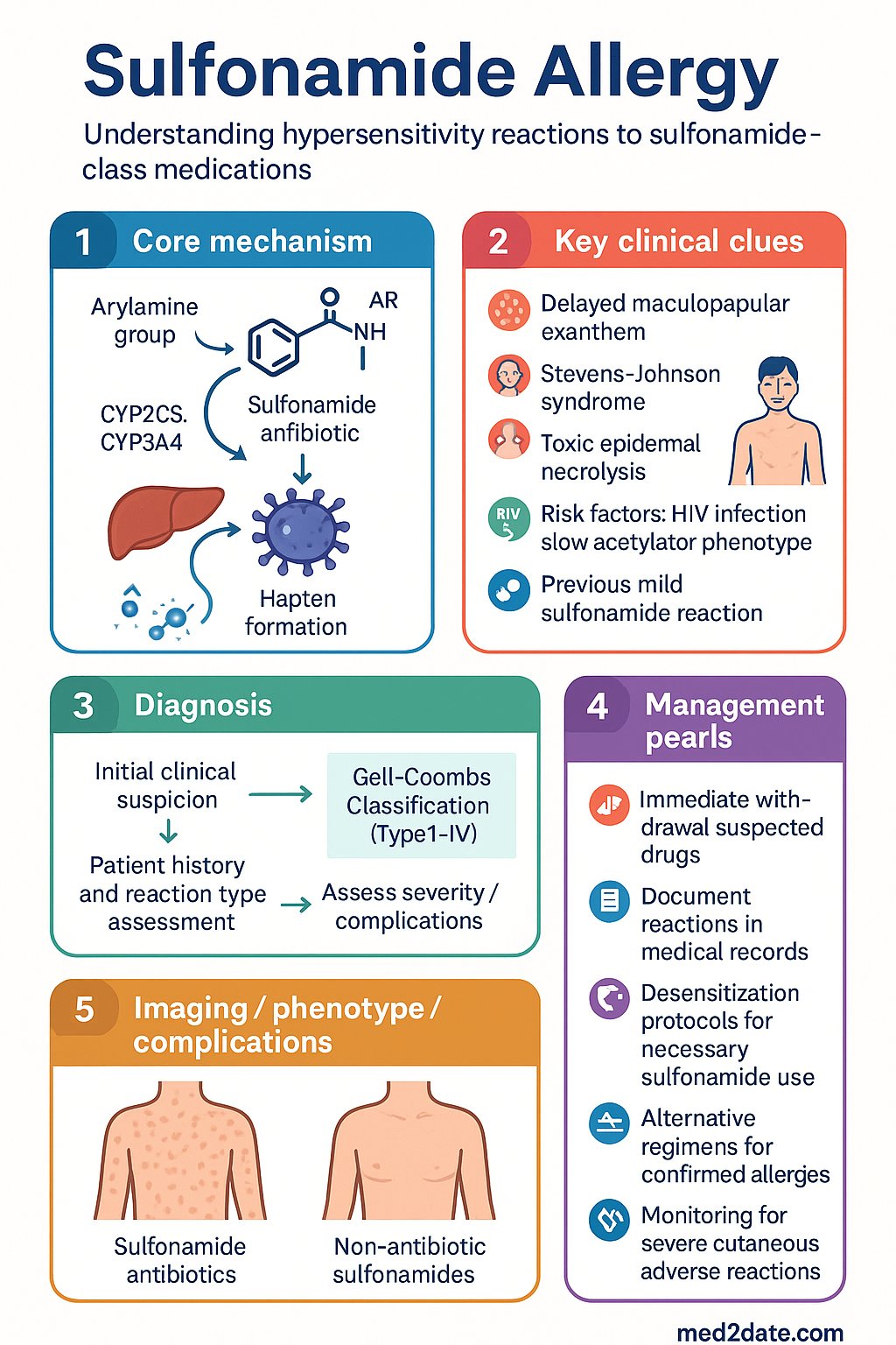 Sulfonamide Allergy clinical infographic — pathophysiology, clinical clues, diagnosis, imaging, and management