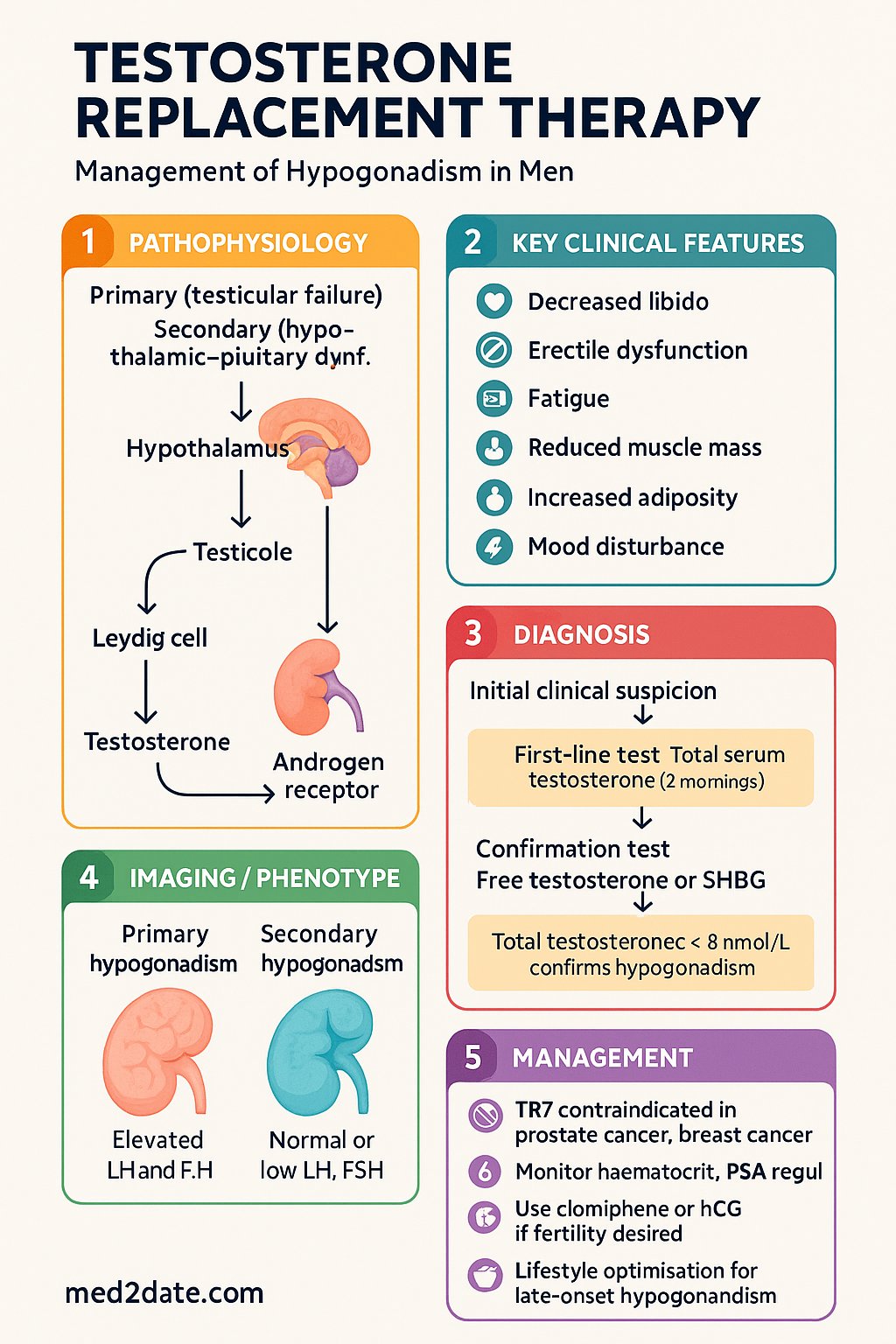 Testosterone Replacement Therapy clinical infographic — pathophysiology, clinical clues, diagnosis, imaging, and management