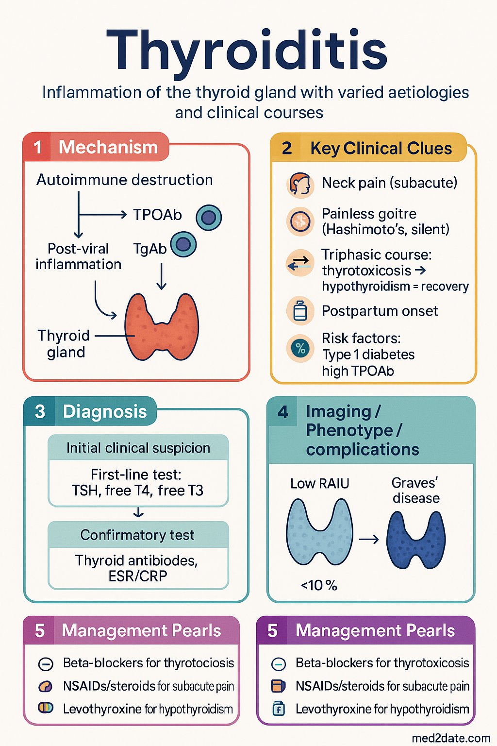 Thyroiditis clinical infographic — pathophysiology, clinical clues, diagnosis, imaging, and management