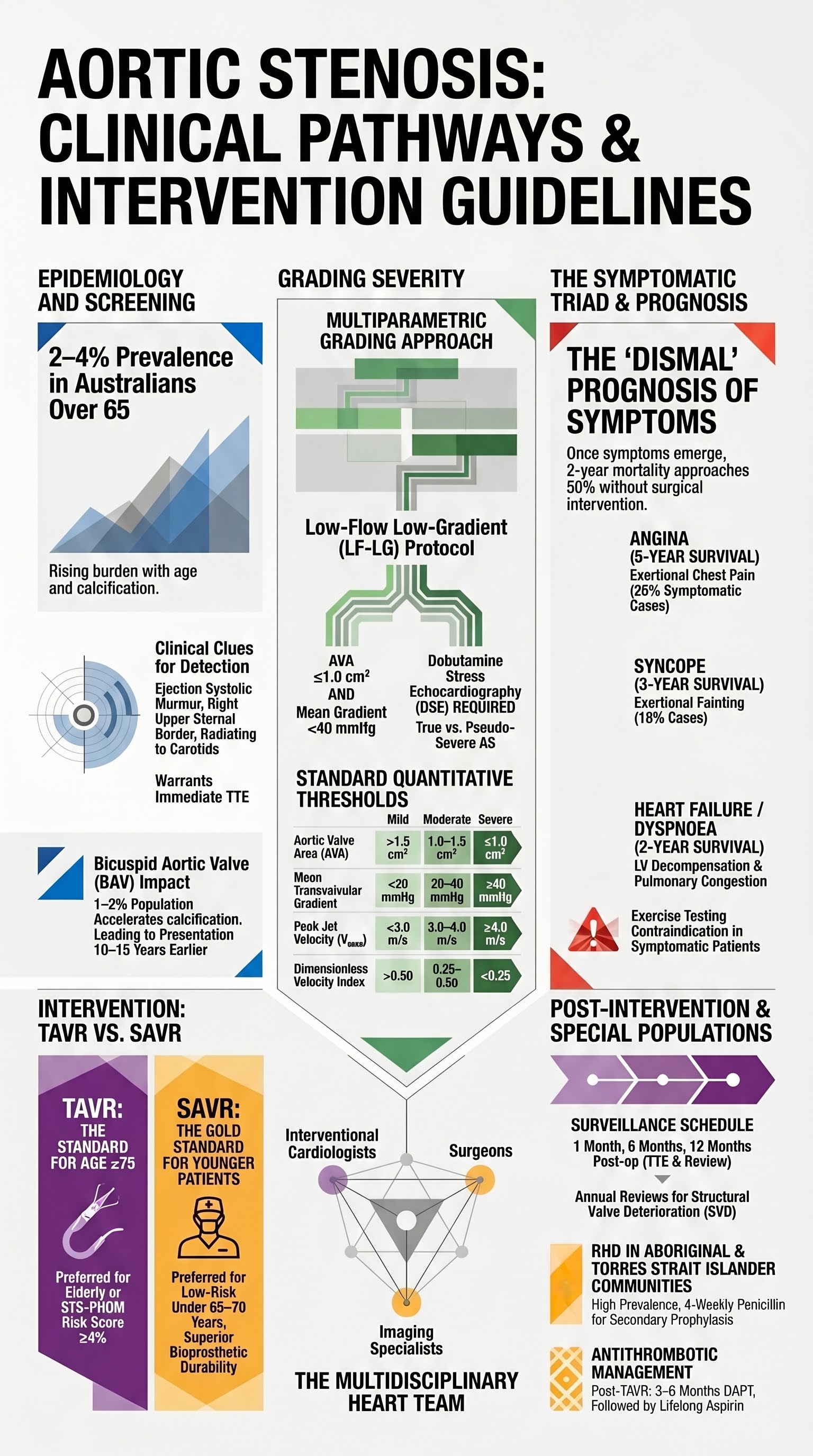 Aortic Stenosis visual summary infographic